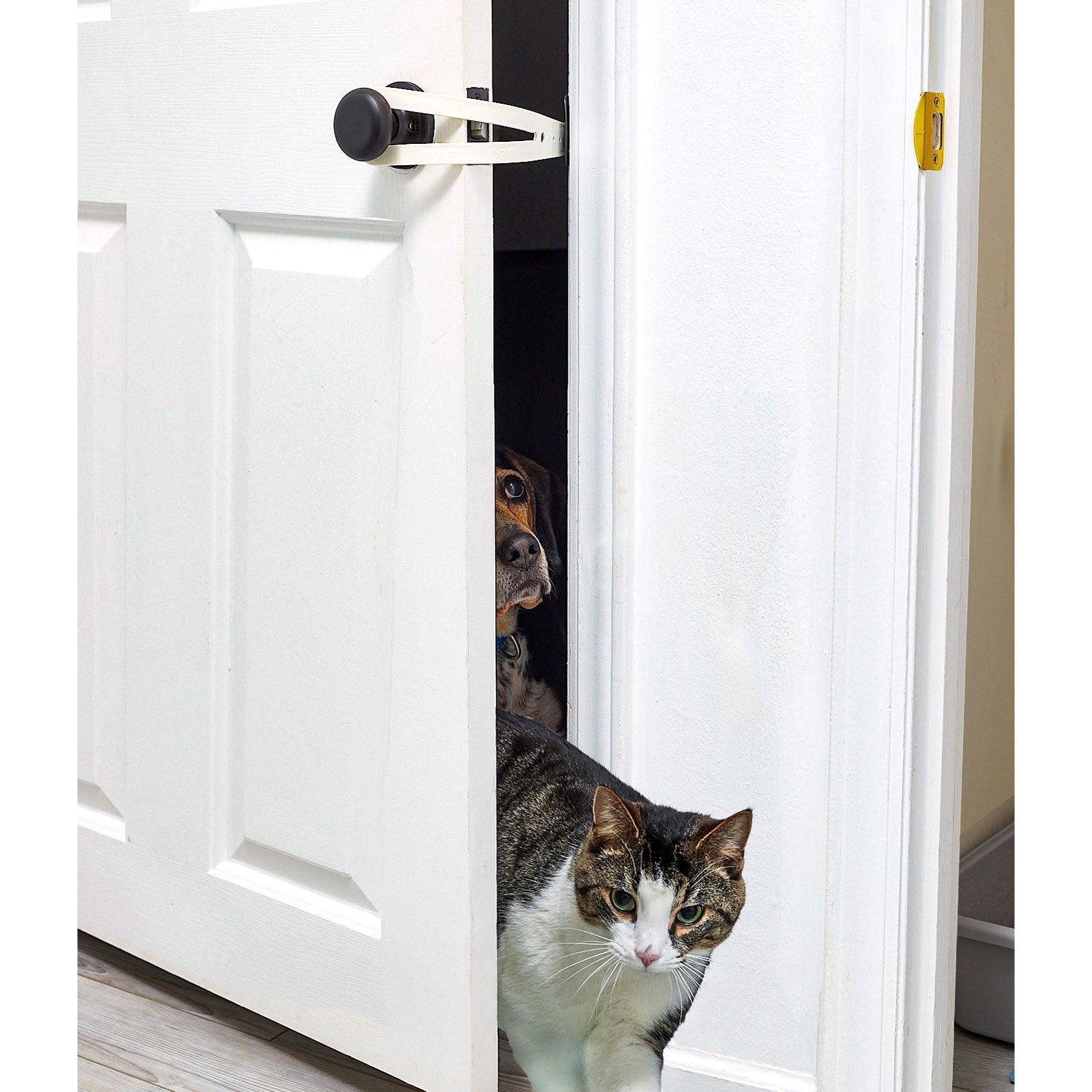 FlexiPaws⢠Pet Door Holder