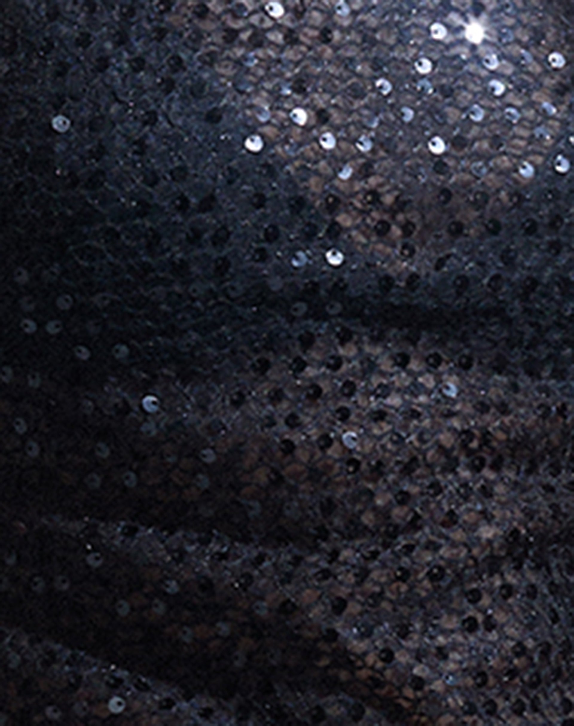 Sidney Sparkle Top